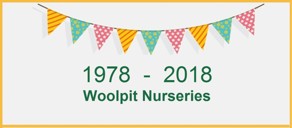 Woolpit Nurseries 40 years in garden nursery business