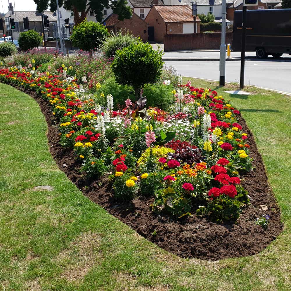 Smiley commercial plantings in Bury St Edmunds