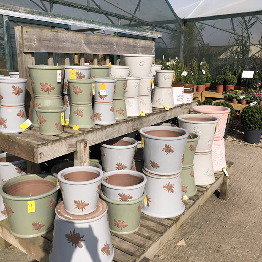 Garden pots and containers by Woodlodge Bee Kind, Woolpit Nurseries