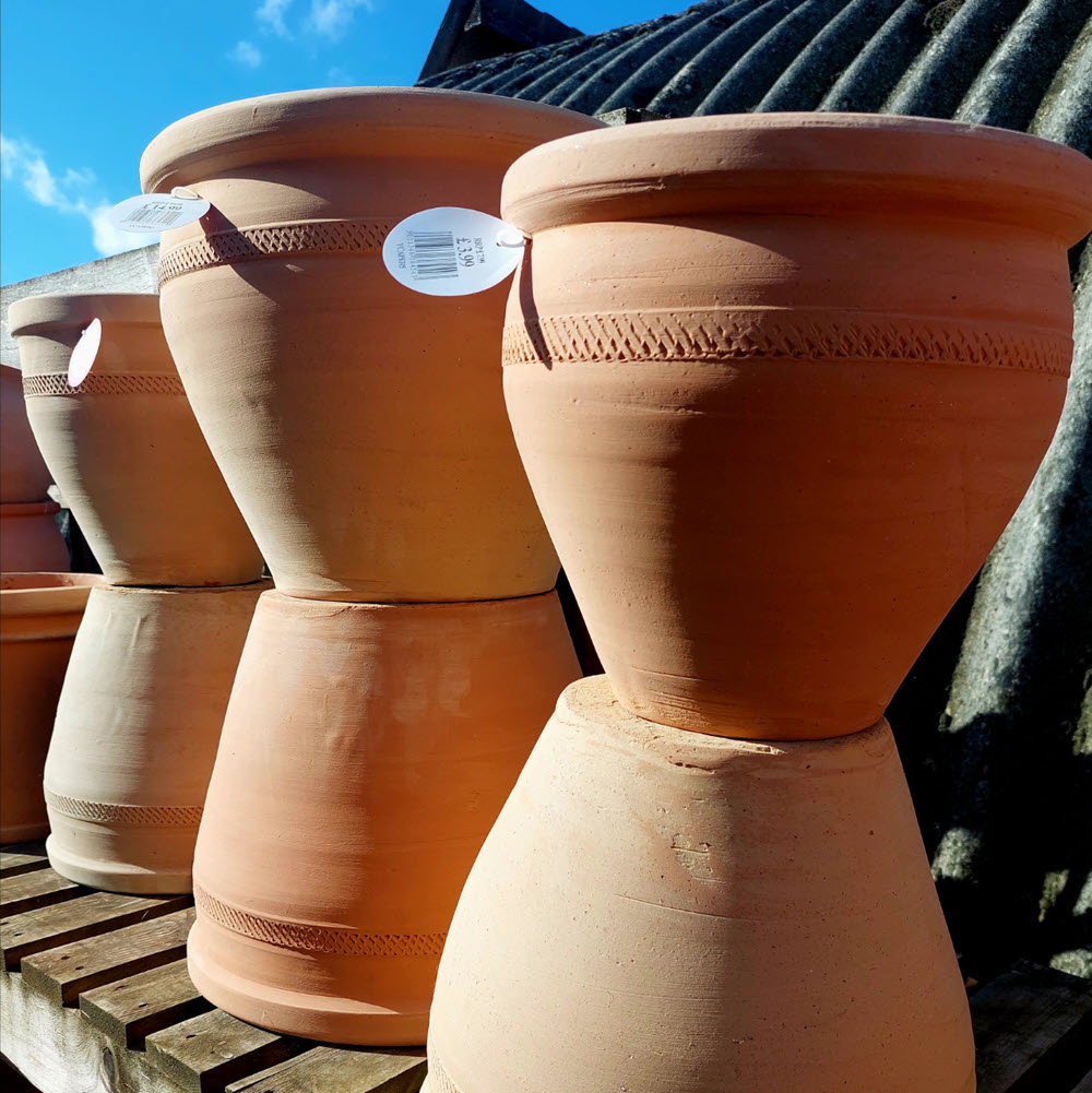 Terracotta patio pots Woolpit Nurseries