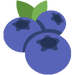 Blueberry soft fruit Woolpit Nurseries