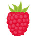 Raspberry soft fruit Woolpit Nurseries