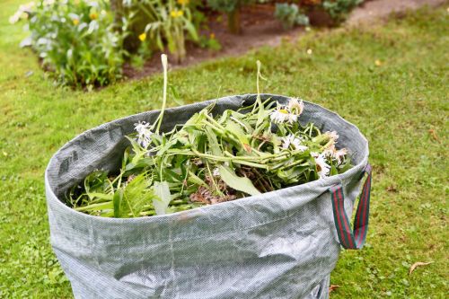 gardening tips - weeding and mulching Woolpit Nurseries