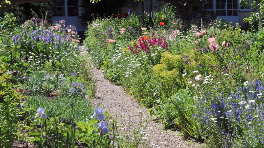 Gardening tips for June Woolpit Nurseries
