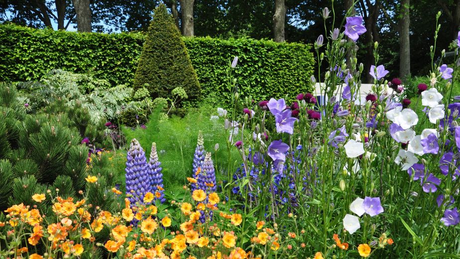 Best garden plant nursery in Suffolk UK Woolpit Nurseries