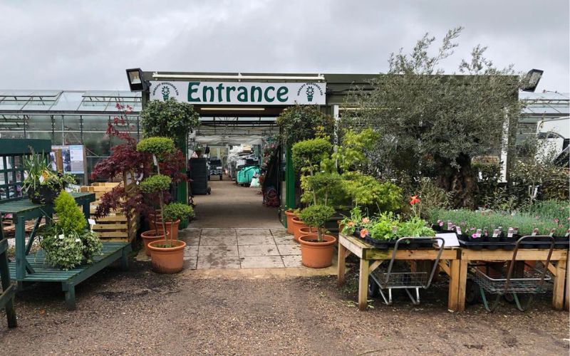 best garden plant nursery in Suffolk UK