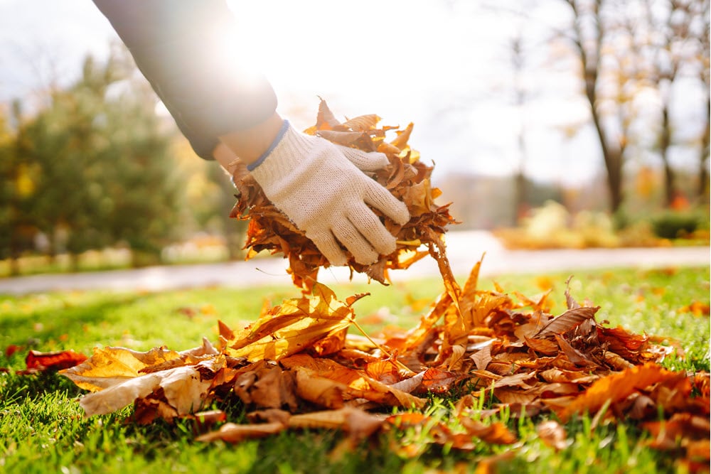 October gardening jobs suffolk