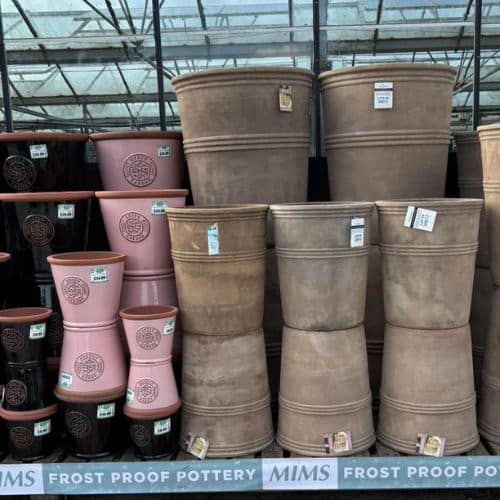 Woolpit Nurseries – Family Run Plant Nursery