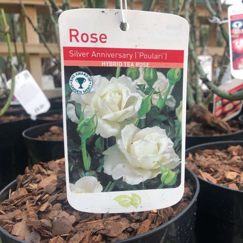 Woolpit Nurseries – Family Run Plant Nursery