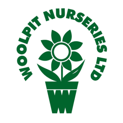 Woolpit Nurseries – Family Run Plant Nursery